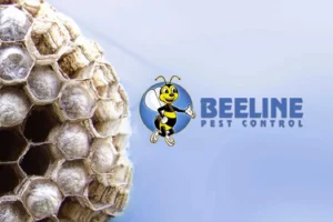 Beeline Pest Control