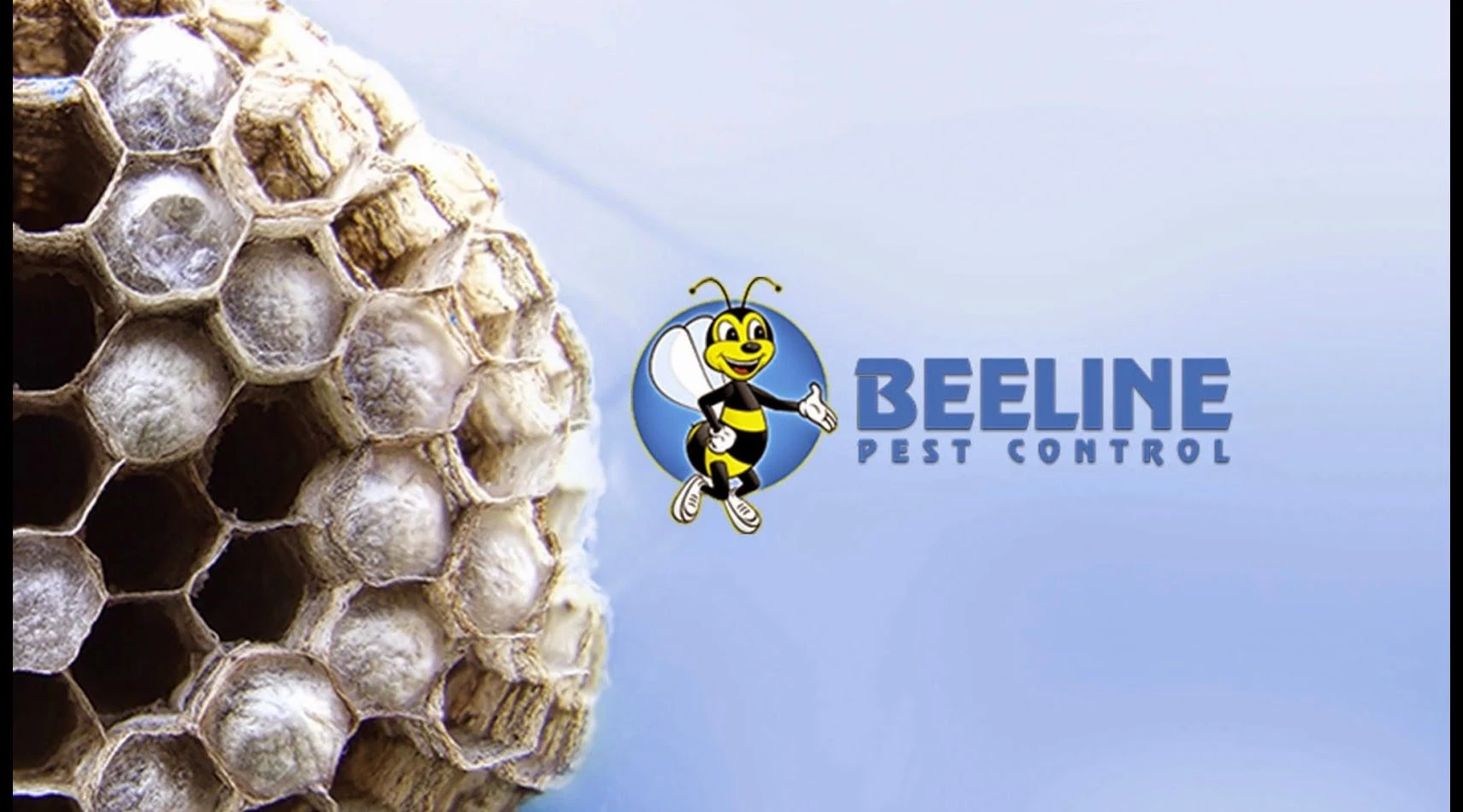 Beeline Pest Control