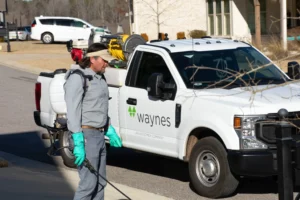 Waynes Pest Control