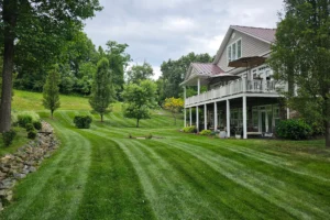 Landscape Maintenance Services