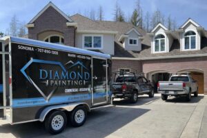 Diamond Painting Oahu