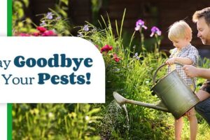 Enviro-Tech Pest Services