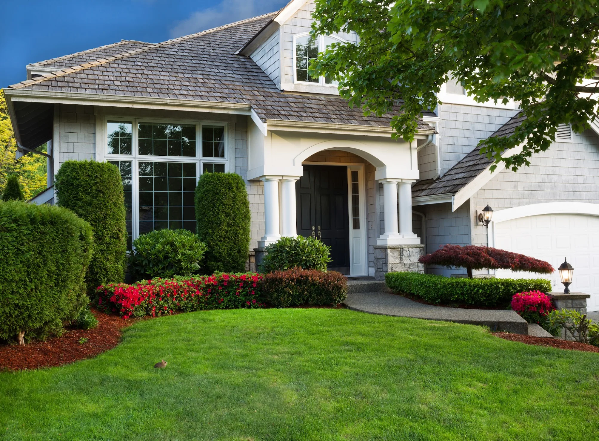 Total Lawn Care & More